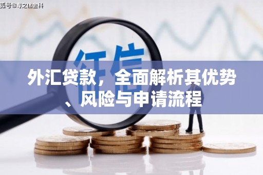 新郑外汇贷款，全面解析其优势、风险与申请流程