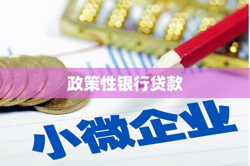 新郑政策性银行贷款