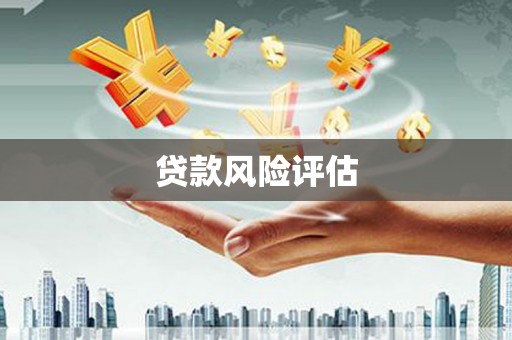 新郑贷款风险评估