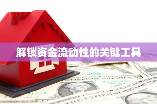 新郑解锁资金流动性的关键工具