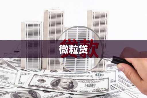 新郑微粒贷