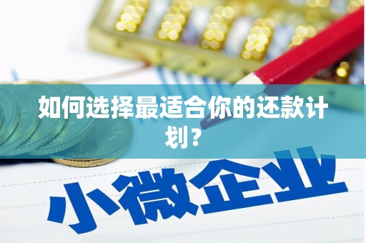 新郑如何选择最适合你的还款计划？