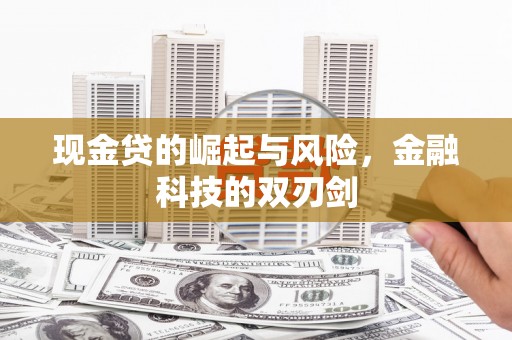 新郑现金贷的崛起与风险，金融科技的双刃剑