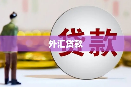 新郑外汇贷款
