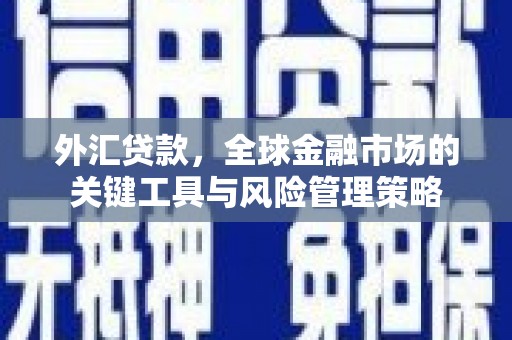 新郑外汇贷款，全球金融市场的关键工具与风险管理策略