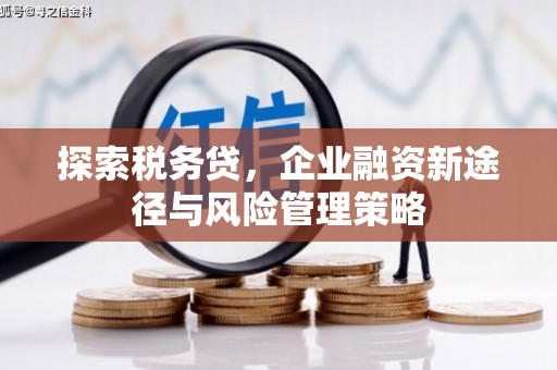 新郑探索税务贷，企业融资新途径与风险管理策略