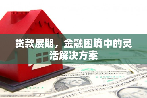 新郑贷款展期，金融困境中的灵活解决方案