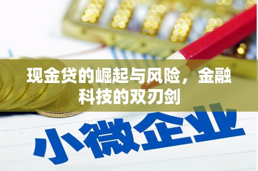 新郑现金贷的崛起与风险，金融科技的双刃剑