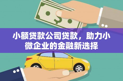 新郑小额贷款公司贷款，助力小微企业的金融新选择