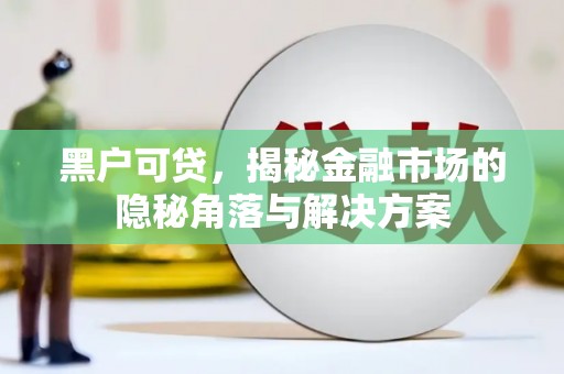 新郑黑户可贷，揭秘金融市场的隐秘角落与解决方案