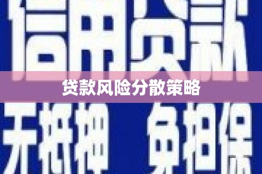 新郑贷款风险分散策略