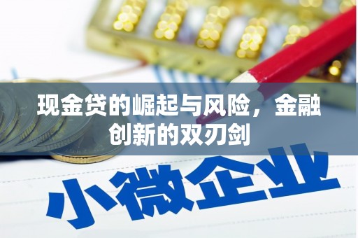新郑现金贷的崛起与风险，金融创新的双刃剑