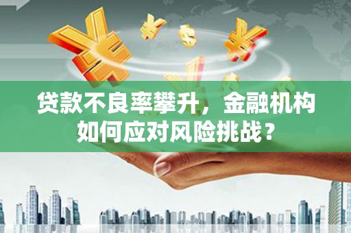 新郑贷款不良率攀升，金融机构如何应对风险挑战？