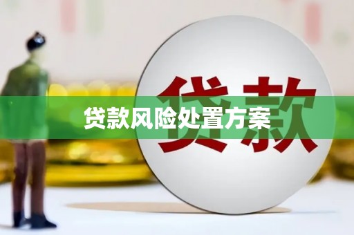 新郑贷款风险处置方案