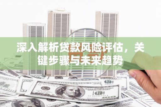 新郑深入解析贷款风险评估，关键步骤与未来趋势
