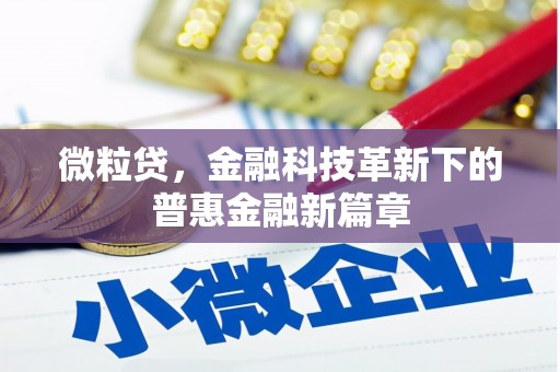 新郑微粒贷，金融科技革新下的普惠金融新篇章