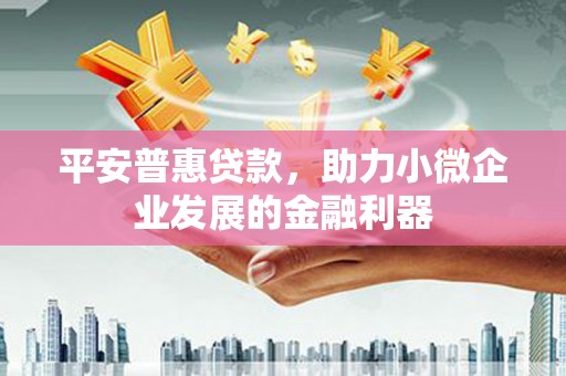 新郑平安普惠贷款，助力小微企业发展的金融利器