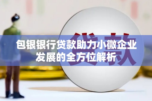 新郑包银银行贷款助力小微企业发展的全方位解析
