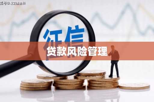新郑贷款风险管理