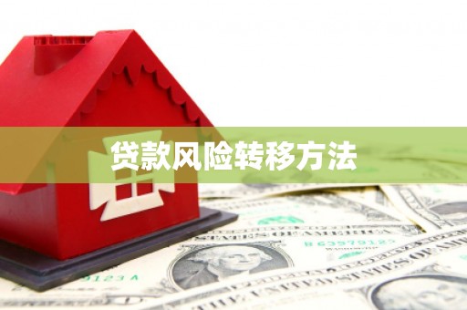 新郑贷款风险转移方法
