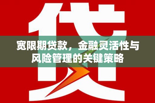 新郑宽限期贷款，金融灵活性与风险管理的关键策略