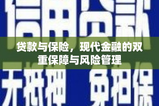 新郑贷款与保险，现代金融的双重保障与风险管理
