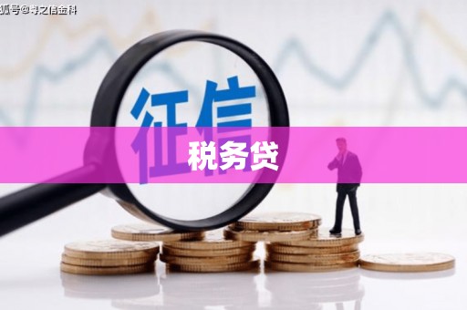 新郑税务贷