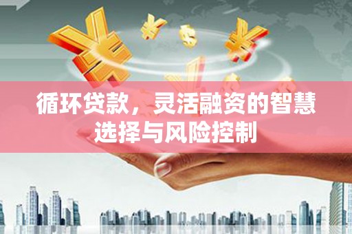 新郑循环贷款，灵活融资的智慧选择与风险控制