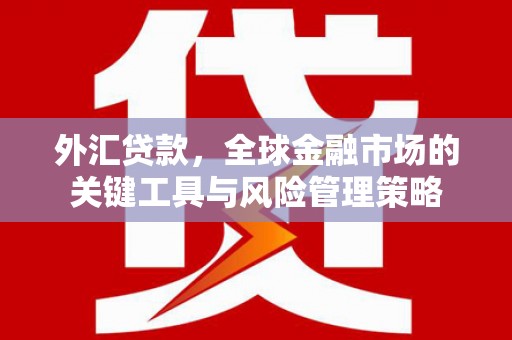 新郑外汇贷款，全球金融市场的关键工具与风险管理策略