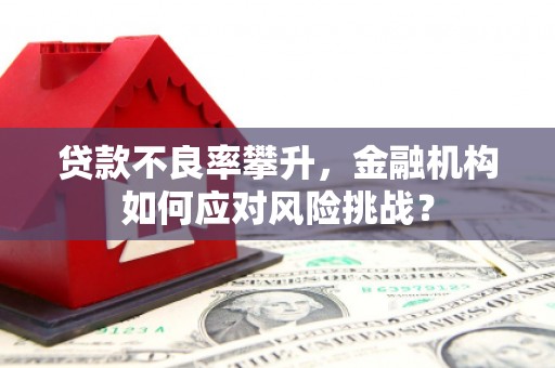 新郑贷款不良率攀升，金融机构如何应对风险挑战？
