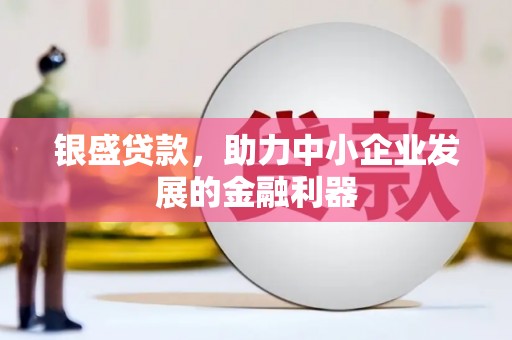 新郑银盛贷款，助力中小企业发展的金融利器