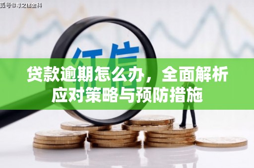 新郑贷款逾期怎么办，全面解析应对策略与预防措施