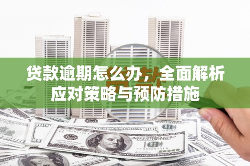 新郑贷款逾期怎么办，全面解析应对策略与预防措施