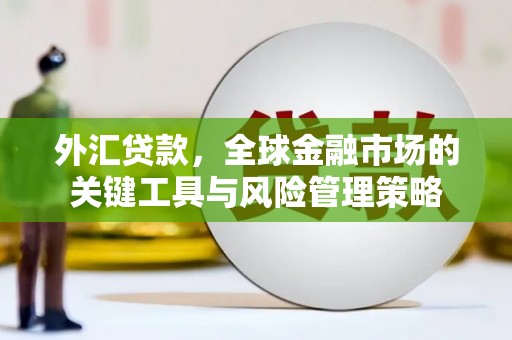 新郑外汇贷款，全球金融市场的关键工具与风险管理策略