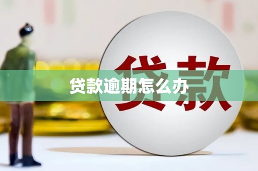 新郑贷款逾期怎么办