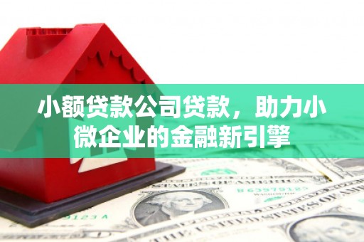 新郑小额贷款公司贷款，助力小微企业的金融新引擎