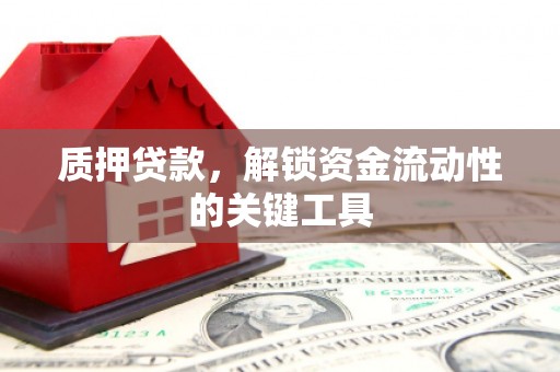 新郑质押贷款，解锁资金流动性的关键工具