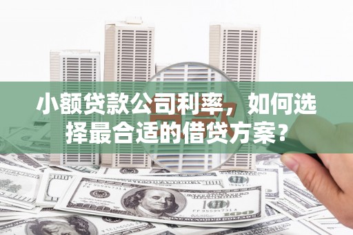 新郑小额贷款公司利率，如何选择最合适的借贷方案？
