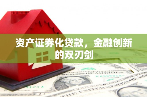 新郑资产证券化贷款，金融创新的双刃剑