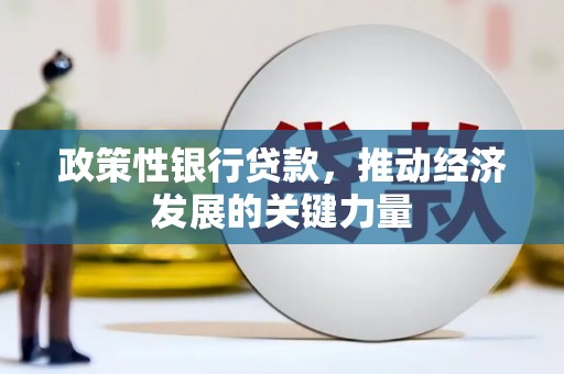 新郑政策性银行贷款，推动经济发展的关键力量