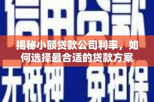 新郑揭秘小额贷款公司利率，如何选择最合适的贷款方案