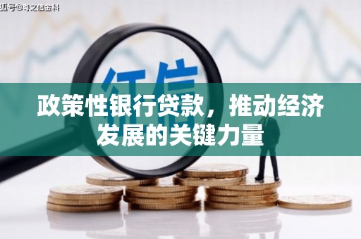新郑政策性银行贷款，推动经济发展的关键力量