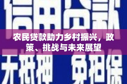 新郑农民贷款助力乡村振兴，政策、挑战与未来展望