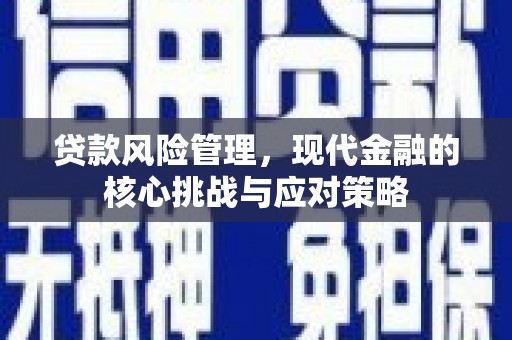 新郑贷款风险管理，现代金融的核心挑战与应对策略