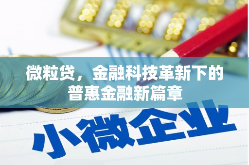 新郑微粒贷，金融科技革新下的普惠金融新篇章