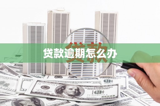 新郑贷款逾期怎么办