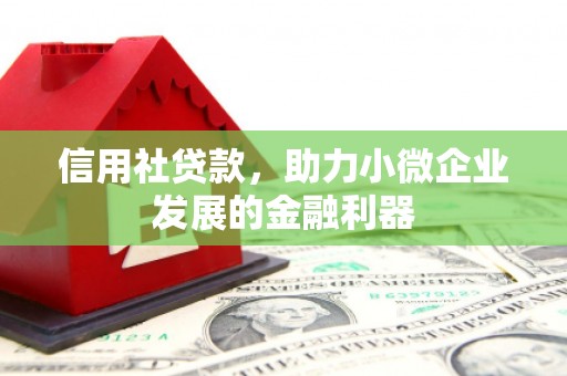 新郑信用社贷款，助力小微企业发展的金融利器