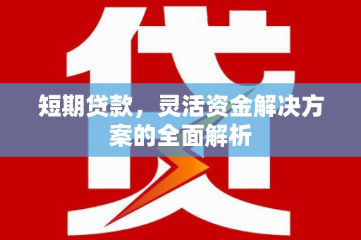 新郑短期贷款，灵活资金解决方案的全面解析