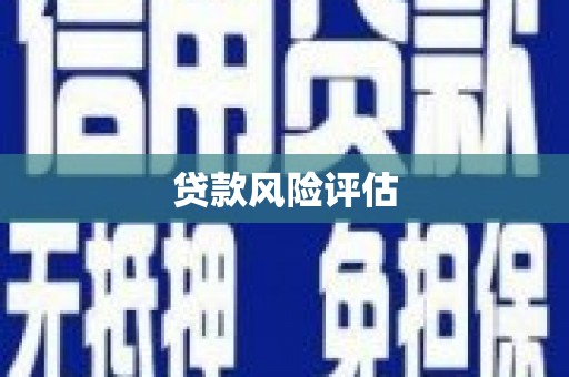 新郑贷款风险评估