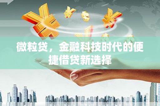 新郑微粒贷，金融科技时代的便捷借贷新选择